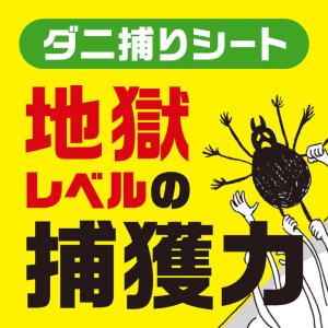 アース製薬 ダニがホイホイ ダニ捕りシート ま...の詳細画像2