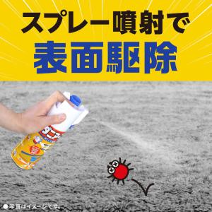 アース製薬 ダニアース (300ml)の詳細画像3