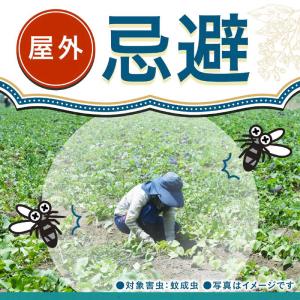 アース製薬 アース長持香 50巻箱入 ビャクダ...の詳細画像3