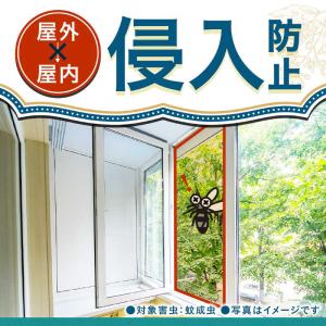 アース製薬 アース長持香 50巻箱入 ビャクダ...の詳細画像4