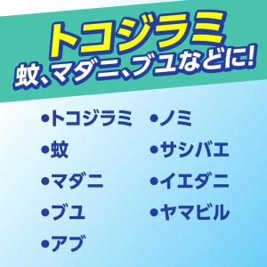 アース製薬 サラテクト 無香料 大型 400mlの詳細画像2