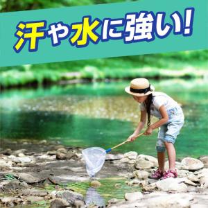 アース製薬 サラテクト 無香料 大型 400mlの詳細画像4