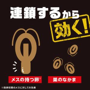 アース製薬 ブラックキャップ 屋外用 8個入の詳細画像5