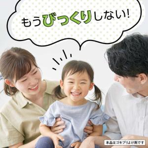 アース製薬 マモルーム ゴキブリ用 取替えボト...の詳細画像1