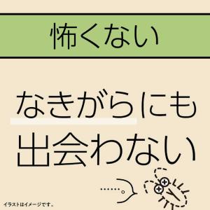 アース製薬 マモルーム ゴキブリ用 取替えボト...の詳細画像5