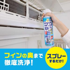 アース製薬 らくハピ エアコン洗浄スプレー N...の詳細画像2