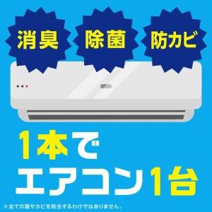 アース製薬 らくハピ エアコン洗浄スプレー N...の詳細画像3