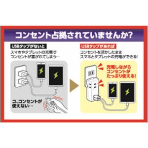 ELPA 耐雷USBコード付きタップ 0.5m...の詳細画像3