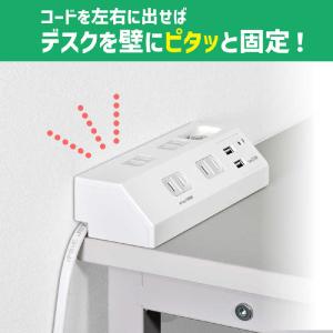 ELPA USBタップ 4個口 2ポート2.4...の詳細画像5
