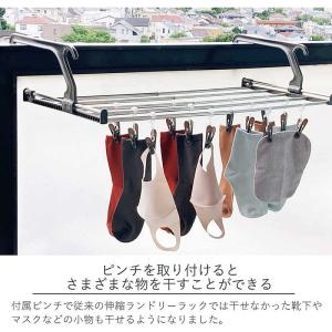 アイセン 伸縮ランドリーラック 専用取付けピン...の詳細画像2