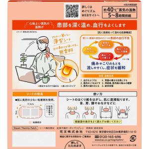 花王 めぐりズム 蒸気の温熱シート 16枚入の詳細画像1