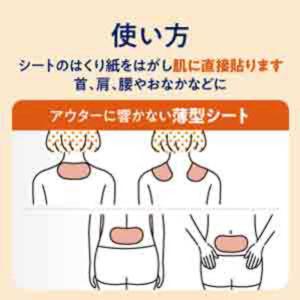 花王 めぐりズム 蒸気の温熱シート 16枚入の詳細画像4