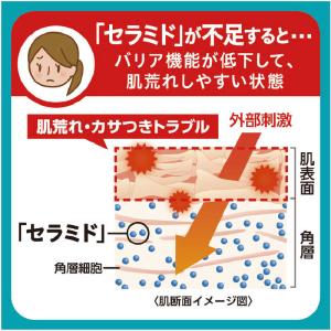 花王 キュレル 泡ハンドウォッシュ ポンプ 本...の詳細画像3