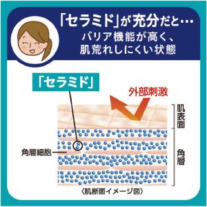花王 キュレル 泡ハンドウォッシュ ポンプ 本...の詳細画像4