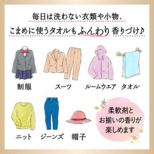 花王 フレアフレグランス 香りのスタイリングミ...の詳細画像3