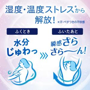 花王 ビオレ Zero シート 可憐なフローラ...の詳細画像3