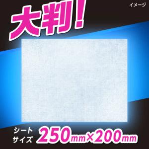 花王 メンズビオレボディシート超洗浄タイプ M...の詳細画像3