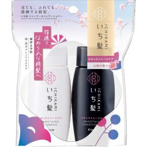 セット品 いち髪 なめらか スムースケア シャンプー 詰替用 2回分