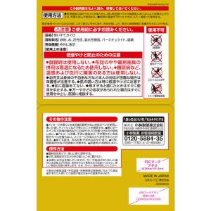 小林製薬 桐灰カイロ 貼らないタイプ 30個入 箱入の詳細画像1