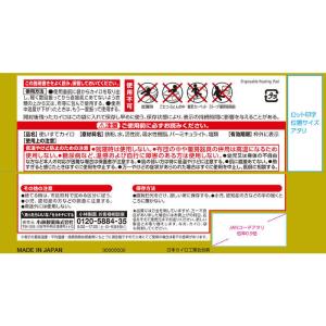 小林製薬 桐灰カイロ 貼らないタイプ ミニ (...の詳細画像1