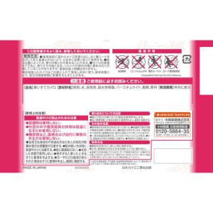 小林製薬 命の母 カイロ 貼るタイプ (10個入)の詳細画像1