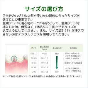 サンスター GUM(ガム) ソフトピック カー...の詳細画像3