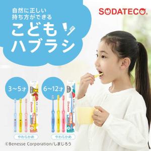 サンスター ソダテコ(SODATECO)こども...の詳細画像1