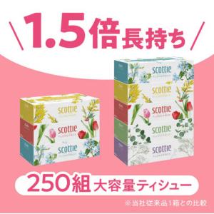 日本製紙クレシア スコッティ フラワースコッティの詳細画像1