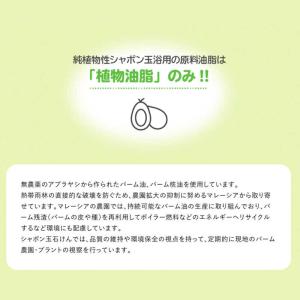 シャボン玉販売 純植物性シャボン玉浴用 (3個...の詳細画像3