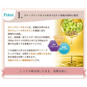 シャボン玉販売 シャボン玉 無添加ボディソープの詳細画像5
