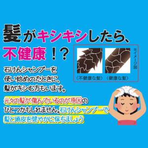 シャボン玉販売 シャボン玉無添加せっけんシャン...の詳細画像4