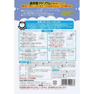 シャボン玉販売 シャボン玉洗たく槽クリーナー〔...の詳細画像1