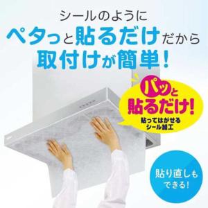 東洋アルミエコープロダクツ 整流板付専用パッと...の詳細画像1