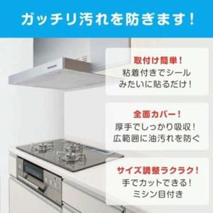東洋アルミエコープロダクツ 整流板付専用パッと...の詳細画像3