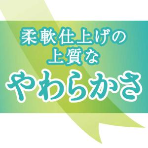 大王製紙 elleair(エリエール)トイレッ...の詳細画像2