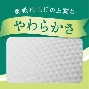 大王製紙 「ダブル」エリエールコンパクト 45...の詳細画像1