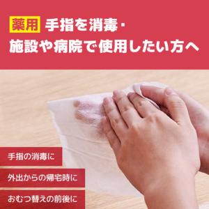 大王製紙 エリエール 薬用消毒できるアルコール...の詳細画像2