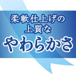 大王製紙 elleair(エリエール) トイレ...の詳細画像2