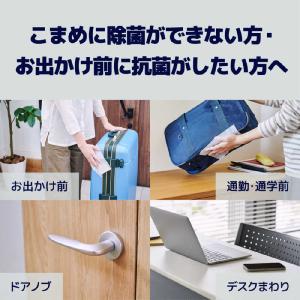 大王製紙 エリエール除菌抗菌ボックス本体40枚の詳細画像4