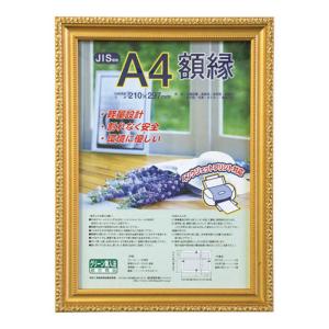 FUJIFILM（フジフイルム） フジカラー アルミ額縁 A300(全紙) A300
