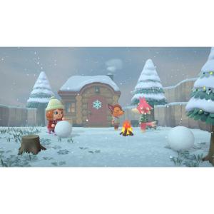 任天堂 Nintendo Switchゲームソ...の詳細画像5
