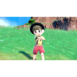 任天堂 Nintendo Switchゲームソ...の詳細画像3