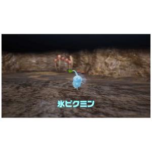 任天堂 Nintendo Switchゲームソ...の詳細画像3