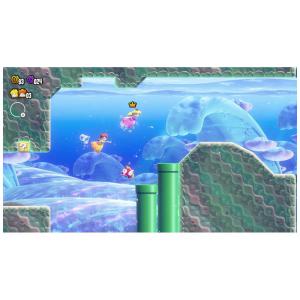 任天堂 Nintendo Switchゲームソ...の詳細画像2