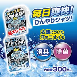 白元 アイスノン シャツミスト ICE KIN...の詳細画像4