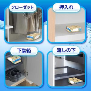 白元 ドライ&ドライUP NECO 金木犀の香...の詳細画像5
