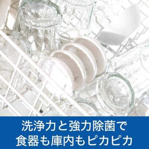 P&G ジョイ 食洗機用ジョイ 除菌 つめかえ...の詳細画像3