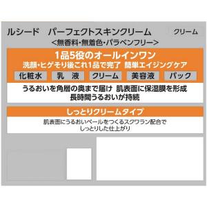 マンダム LUCIDO(ルシード)パーフェクト...の詳細画像2