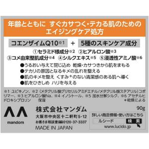マンダム LUCIDO(ルシード)パーフェクト...の詳細画像3
