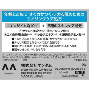 マンダム LUCIDO(ルシード)パーフェクト...の詳細画像3